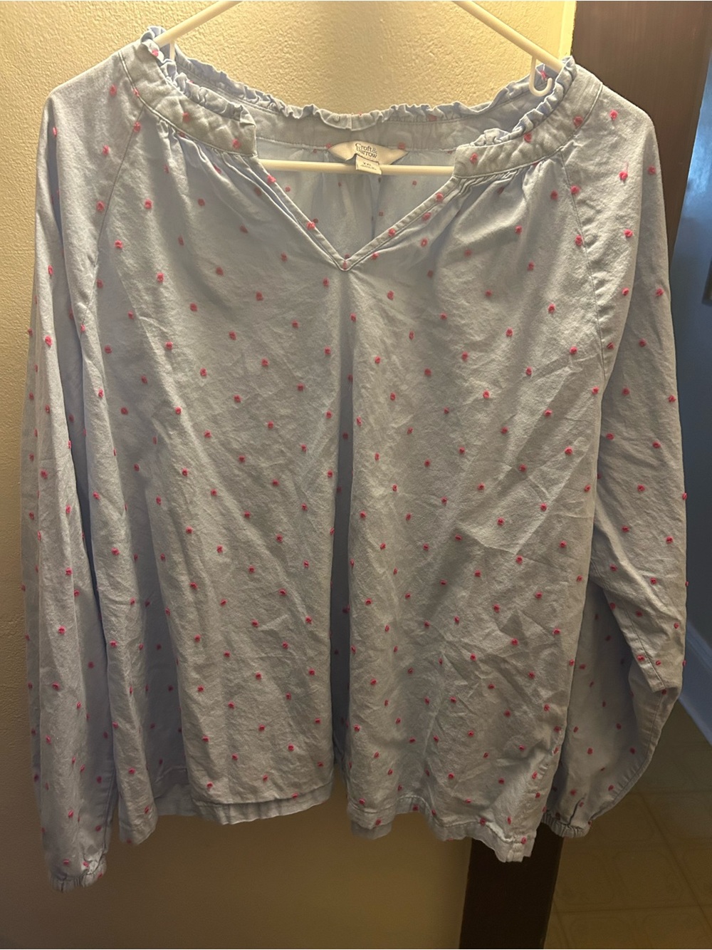 Light Blue Long-Sleeve Women's Sleep Top with Pink Dot Detail